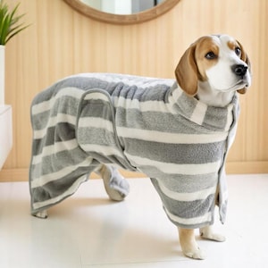 Könnte beinhalten: Ein Beagle-Hund trägt einen grau-weiß gestreiften Hunde-Bademantel. Der Bademantel besteht aus einem weichen, saugfähigen Material und hat einen Knopfverschluss. Der Hund steht auf einem weißen Boden.