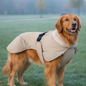 May include: A golden retriever wearing a tan dog coat with a black buckle closure. The coat has a cream-colored, fuzzy collar. The dog is standing on green grass in a park setting.