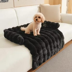 May include: A small, cream-colored dog sits on a black, plush blanket. The blanket is draped over a white sofa, creating a cozy and inviting scene. The blanket's texture appears soft and luxurious, perfect for pet comfort.