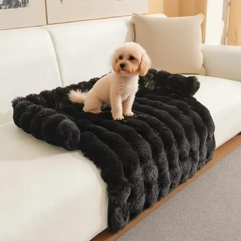 May include: A small, cream-colored dog sits on a black, plush blanket. The blanket is draped over a white sofa, creating a cozy and inviting scene. The blanket's texture appears soft and luxurious, perfect for pet comfort.