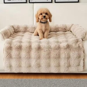 May include: A small, tan dog wearing a black collar sits on a plush, beige pet bed. The bed has a raised, cushioned border and a textured surface. The dog bed is placed on a white surface, with a gray rug visible below.