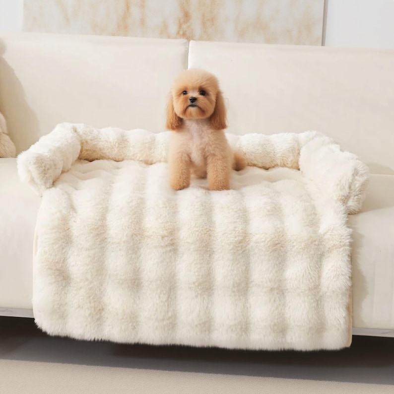 May include: A small, tan dog sits on a cream-colored, plush pet bed with raised sides. The bed is on a white sofa. The dog bed has a soft, textured appearance, providing a cozy space for pets. The overall scene is bright and inviting.