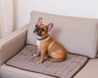 May include: A tan French Bulldog sits on a gray pet cooling mat with a brown border, placed on a beige sofa. The dog wears a gray collar. The mat has a quilted pattern.