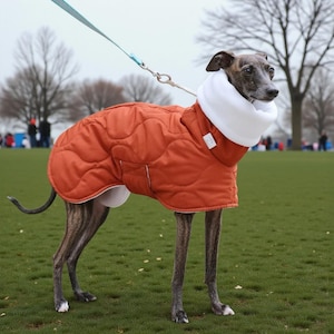 May include: A dog wearing a quilted orange coat with a white fleece collar stands on green grass. The dog is on a lead and appears to be in a park. The coat has a pocket and a white lining.