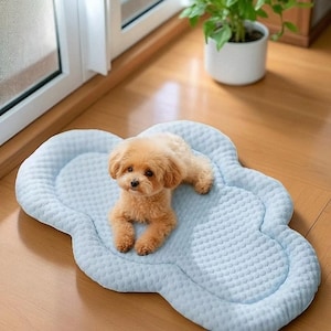 May include: A small, light brown dog rests on a light blue, cloud-shaped pet bed. The bed has a quilted texture and a raised edge. The dog is lying down, looking directly at the camera. A potted plant is visible in the background.