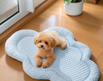May include: A small, light brown dog rests on a light blue, cloud-shaped pet bed. The bed has a quilted texture and a raised edge. The dog is lying down, looking directly at the camera. A potted plant is visible in the background.