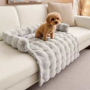 May include: A small, light brown dog sits on a light gray, plush pet bed on a white sofa. The bed has a raised, rounded edge and a soft, textured surface. A matching pillow is behind the dog. The sofa is in a well-lit room.