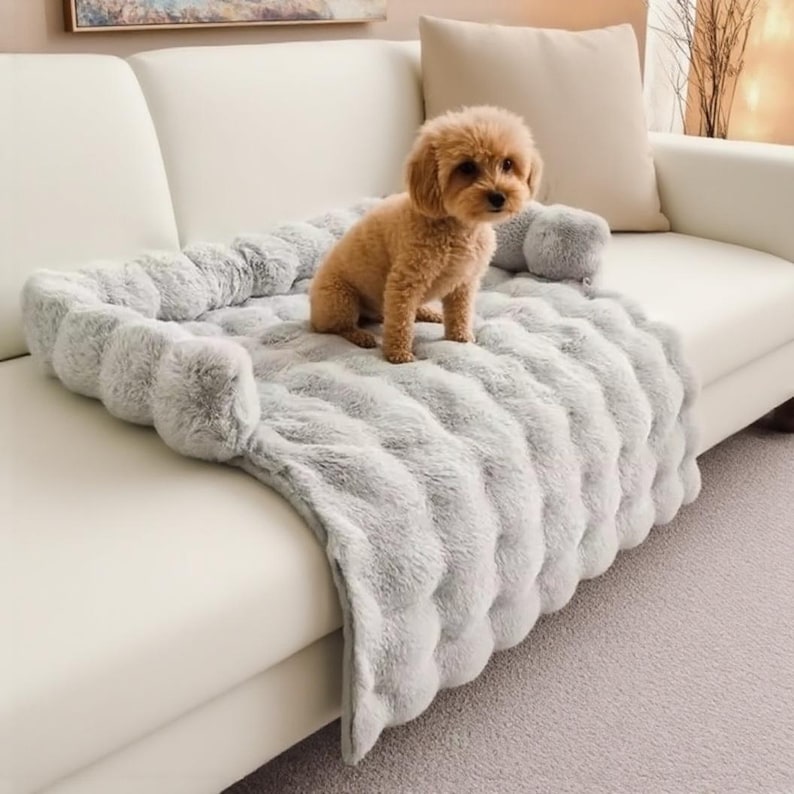 May include: A small, light brown dog sits on a light gray, plush pet bed on a white sofa. The bed has a raised, rounded edge and a soft, textured surface. A matching pillow is behind the dog. The sofa is in a well-lit room.