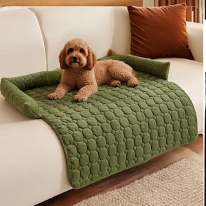 May include: A green quilted dog bed with a raised edge and a brown dog laying on it. The bed is on a white couch.