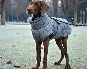 Reflective Dog Winter Coat: Waterproof Padded Jacket with Fleece Lining