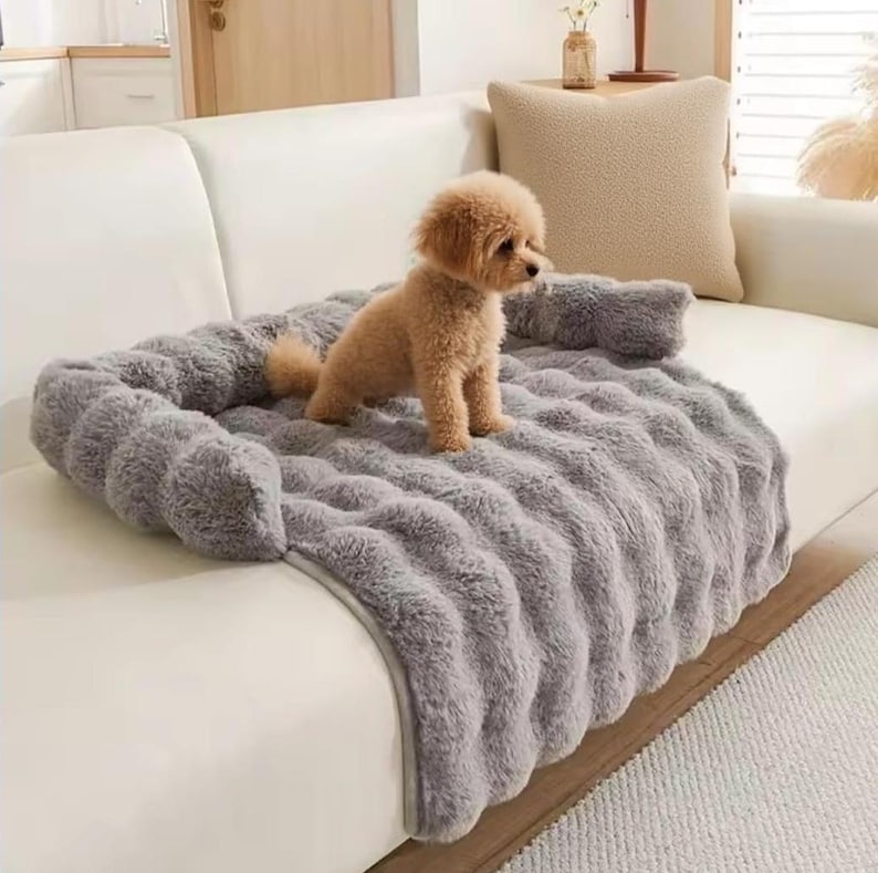 May include: A small, tan-colored dog stands on a gray, plush pet bed. The bed is rectangular with raised sides and a soft, textured surface. The bed is placed on a white sofa, creating a cozy space for the dog.