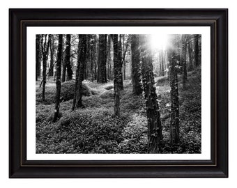 Digital Photo , minimalist wall art , black and white prints ,wall decor , prints , vintage, Woodland, art prints, minimalist