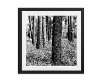 Digital Photo , minimalist wall art , black and white prints ,wall decor , prints , vintage, Woodland, art prints, minimalist