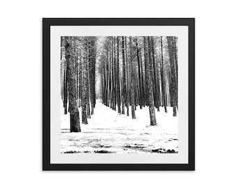 Digital Photo , minimalist wall art , black and white prints ,wall decor , prints , vintage, landscape , art prints, minimalist