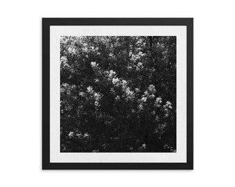 Digital Photo , minimalist wall art , black and white prints ,wall decor , prints , vintage, landscape , art prints, minimalist, tree