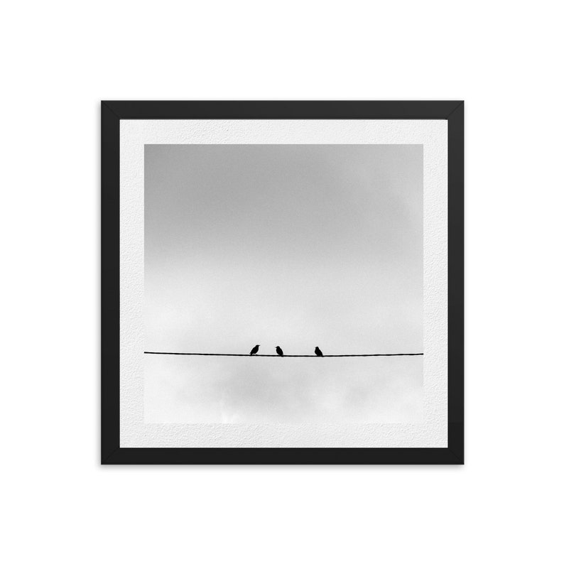 Downloable Photo , minimalist wall art , black and white prints ,wall decor , prints , vintage, animals, art prints, minimalist, bird zdjęcie 1