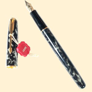 Stylo plume PARKER Sonnet Moonbeam Lacquer, stylo plume vintage, stylo noir élégant, écriture Parker Sonnet, stylo plume vintage