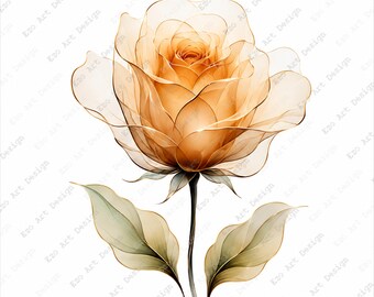 Transparent Rose Clipart, Watercolor Floral Illustration, Rose Botanical Printable Art (Digital Download)