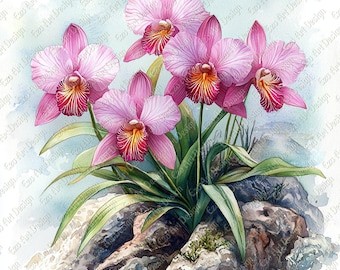 Clipart orchidée rose, art floral tropical, fleur élégante (téléchargement numérique)