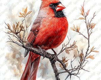 Red Cardinal Bird Clipart, Branch, AI Enhanced (Digital Download)