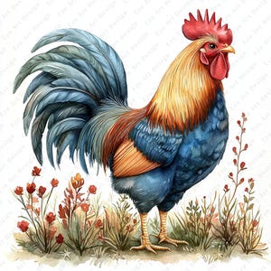 Könnte beinhalten: Ein Aquarellbild eines Hahns mit blauem, orangefarbenem und gelbem Körper, rotem Kamm und Kehllappen und einem langen, blauen Schwanz. Der Hahn steht auf einer Wiese mit grünem Gras und roten Blumen.