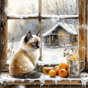 Clipart fenêtre chaton, 12 JPG, téléchargement numérique, clipart fenêtre hiver imprimable, travaux manuels de chat de maison, fabrication de cartes, journal indésirable