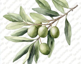 Olive Branch Clipart, Decorative Olive Art (Digital Download)