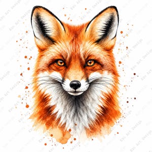 May include: A watercolour illustration of a fox head facing forward. The fox has vibrant orange and red fur, white fur on the chest and muzzle, black-tipped ears, and bright amber eyes. The design features orange paint splatters around the fox.