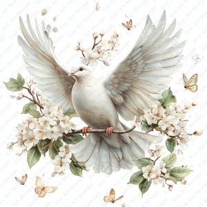 Imagen prediseñada de paloma blanca, pájaro volando JPG, diseño de invitación de boda (descarga digital)