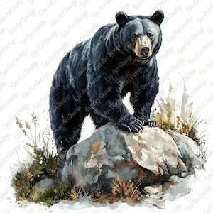 Imágenes prediseñadas de oso negro, acuarela realista de vida silvestre, impresión digital de animales del bosque