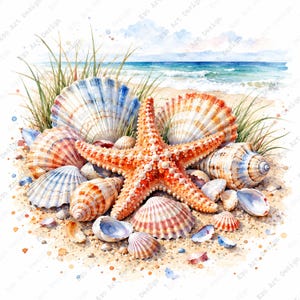 May include: A watercolor illustration of a bright orange starfish centered among various seashells, including fan-shaped and spiral shells, resting on a sandy beach with green dune grass and a blue ocean horizon in the background.