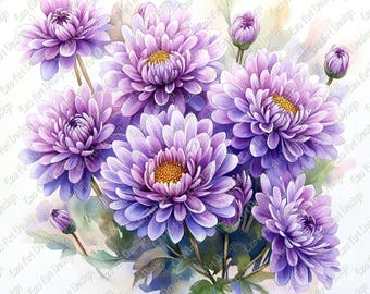 Imágenes prediseñadas de ramo de flores de nacimiento, lámina botánica de acuarela de aster, arte imprimible de otoño de septiembre