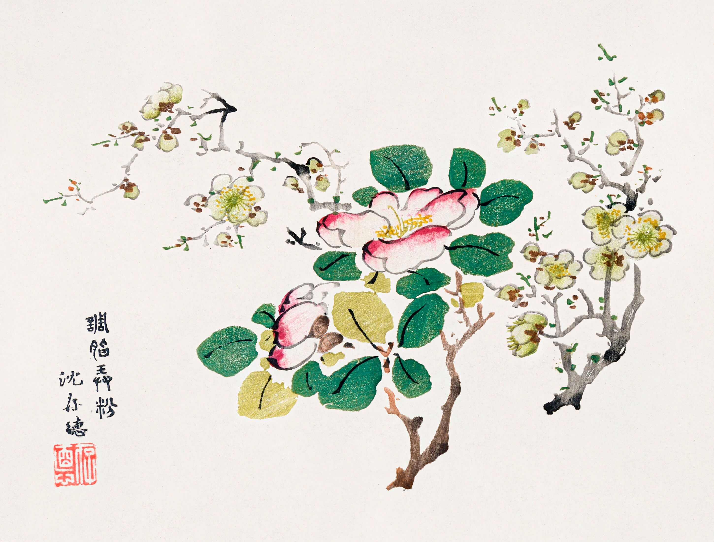 Chinese Flowers Drawings
