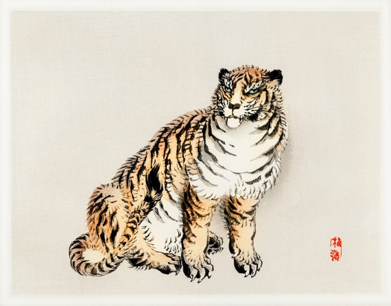 Japanese Tiger Drawing Stock Illustrations – 1,911 Japanese Tiger Drawing  Stock Illustrations, Vectors & Clipart - Dreamstime