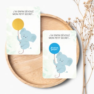Lot de 4 Cartes à gratter pour révéler le sexe de bébé • Petit éléphant