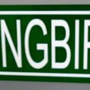 May include: A green street sign with white lettering that reads "MOCKINGBIRD LANE".