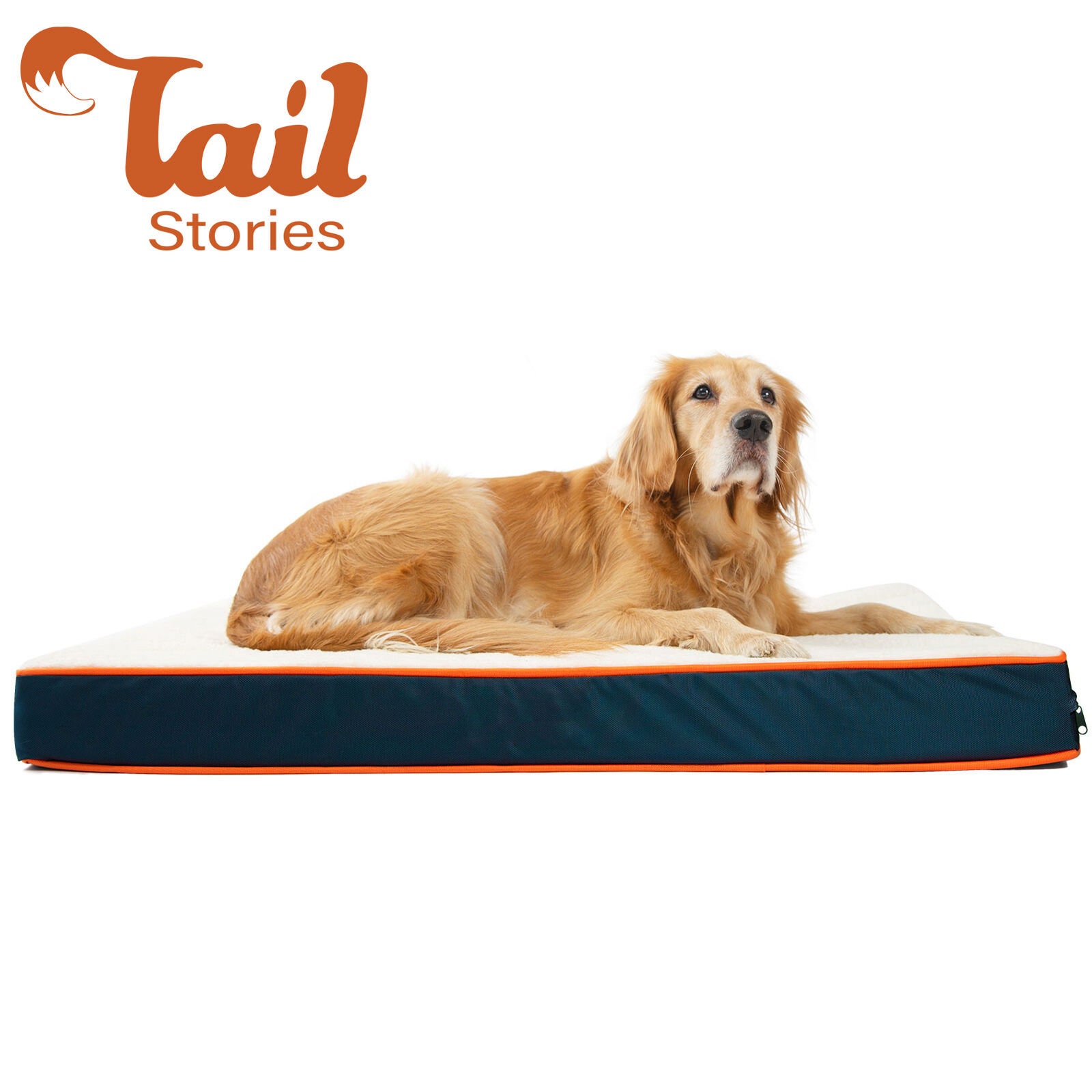 dog tail protector
