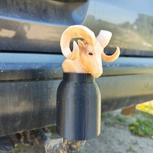 Ram Gift Eagle Trailer Tow Hook Ball / Hitch Cover | personalized gift |  customizable gift | 2 inches (50 mm)