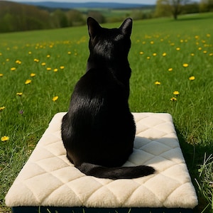Peut inclure: Un chat noir est assis sur un coussin pour animaux de compagnie crème matelassé dans un champ d'herbe verte et de fleurs jaunes. Le chat est dos à la caméra. Le coussin a une bordure bleu foncé.