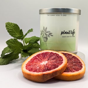 Plant Life - Scented Soy Candle - Wood Wick Candle - Sweet Mint & Orange