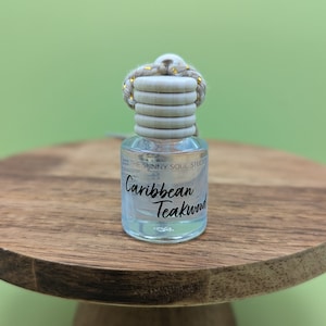 Hanging Diffuser For Car Air Freshener Accessory