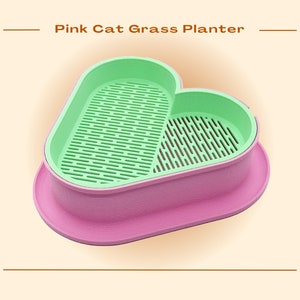 Gräsplanterare för katter, hälsosamt godbitar för husdjur, ekologiskt odlingskit, biologiskt nedbrytbart