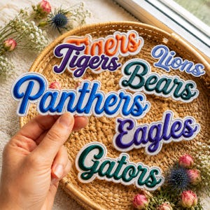 May include: A collection of embroidered fabric patches featuring sports team names in cursive script, including Tigers in orange and purple, Lions in blue, Bears in dark green, Panthers in blue, Eagles in purple, and Gators in dark green.