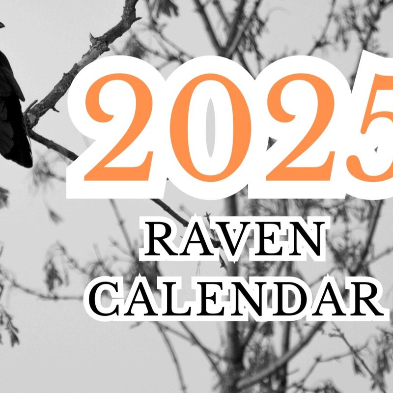 Raven Calendar Gothic Etsy
