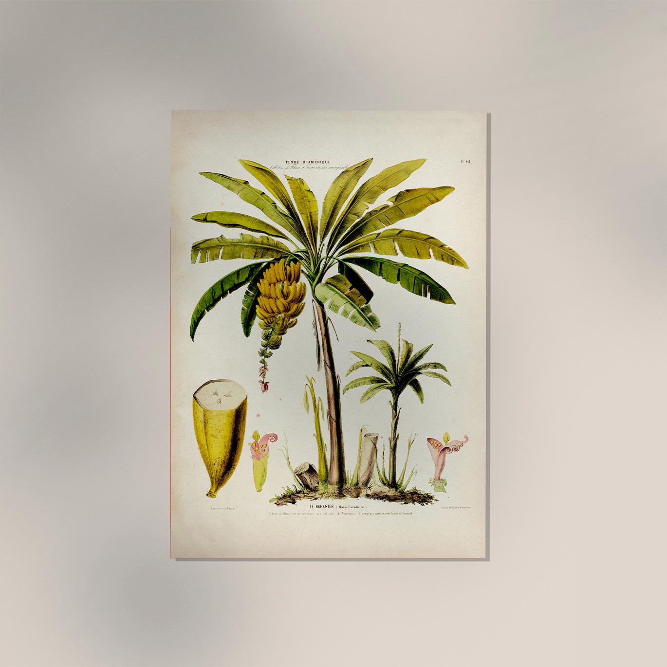 Le Bananier Vintage Art Print - Etsy
