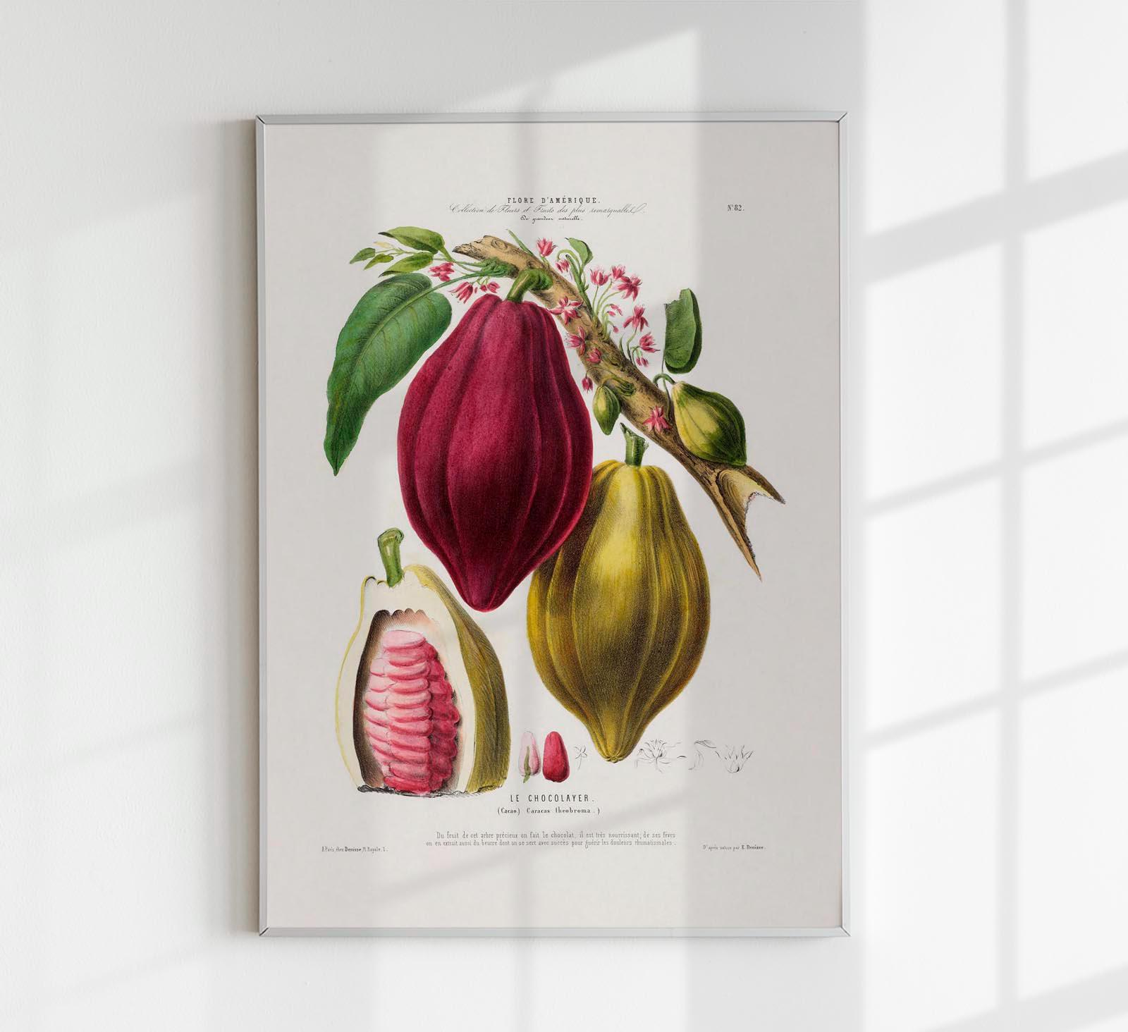 Le Chocolayer Botanical Art Print