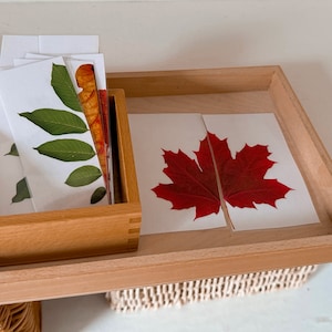 Montessori leaf puzzle