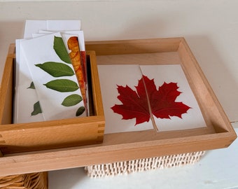 Montessori leaf puzzle