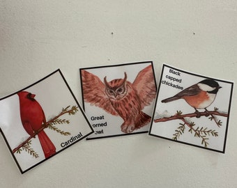 Montessori winter bird language cards