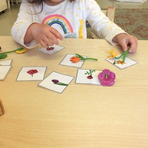 Montessori Flower language cards
